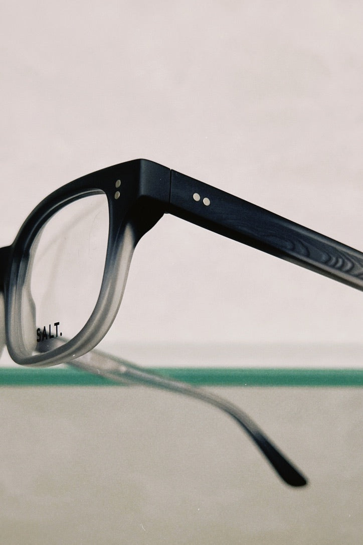 Mitchell in Matte Coastal Fog